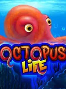Octopus Life